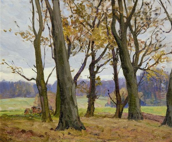 November Day, Belvoir Park - view 1