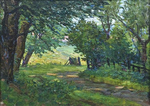 Path Through Trees - view 1