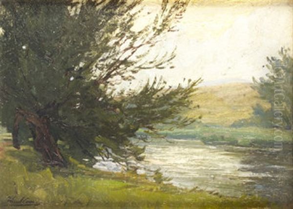 River Landscape - view 1