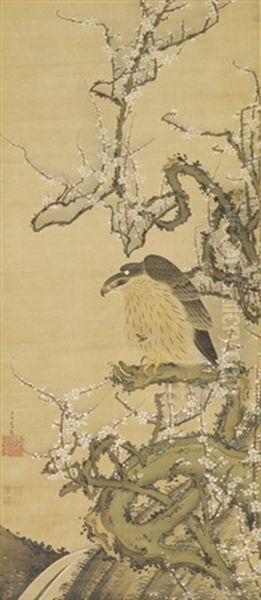 Hawk On A Blossoming Plum Branch - view 1