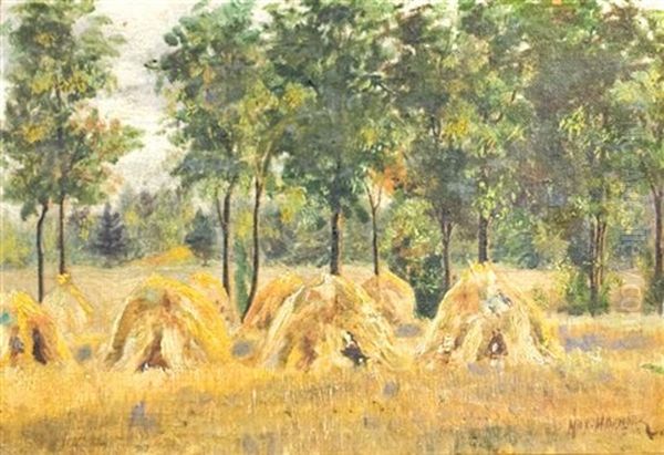 Landscape - view 1