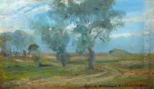 Summer Day by Bela Ivanyi Gruenwald