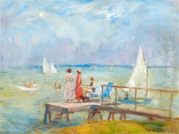 Afternoon By Lake Balaton - view 1