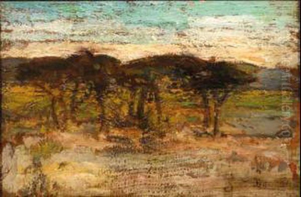 Pineta - view 1