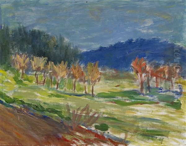 Sommarkvall - view 1