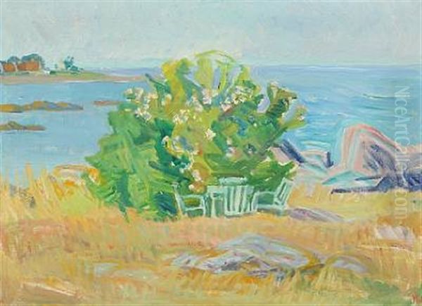 Coastal Scenery At Svaneke, Bornholm A Bright Summers Day - view 1
