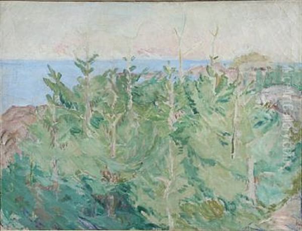 Pines By The Sea, Bornholm - view 1
