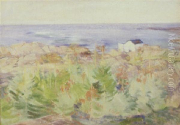 Bornholmsk Klippekyst Med Hus - view 1