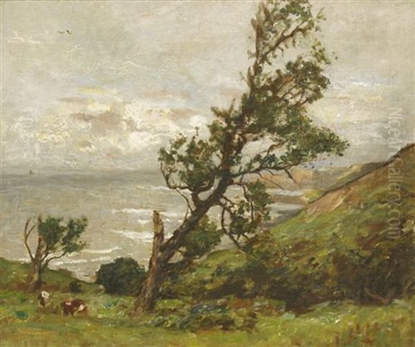 Runswick Bay - view 1