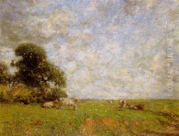 Cattle Grazing In An Extensive Landscape - view 1