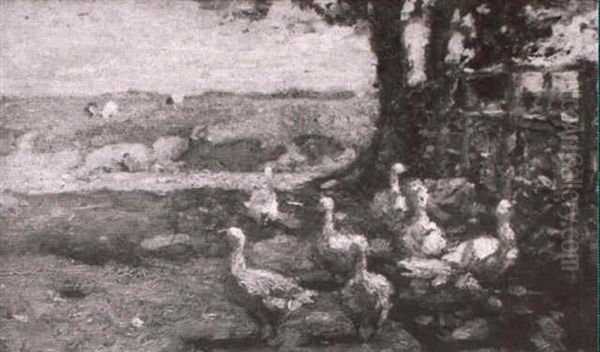 Geese In The Shade: 'may' - view 1