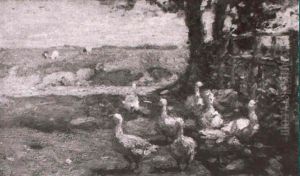 Geese In The Shade: 'may' by Frederick William Jackson