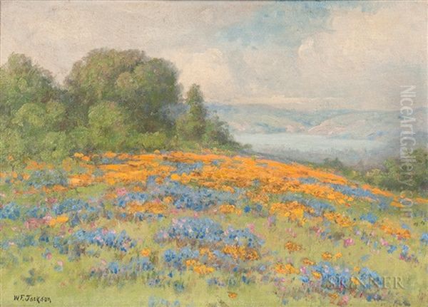 Field Of Poppies And Lupine With View To A Bay - view 1