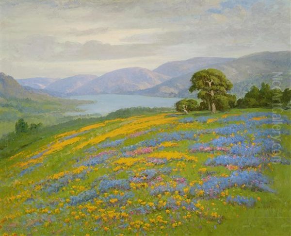 California Grandeur - view 1