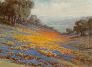 Valley Of Poppies And Lupine Along The Coast by William Franklin Jackson