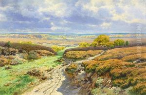 Path Through The Valley by William Franklin Jackson