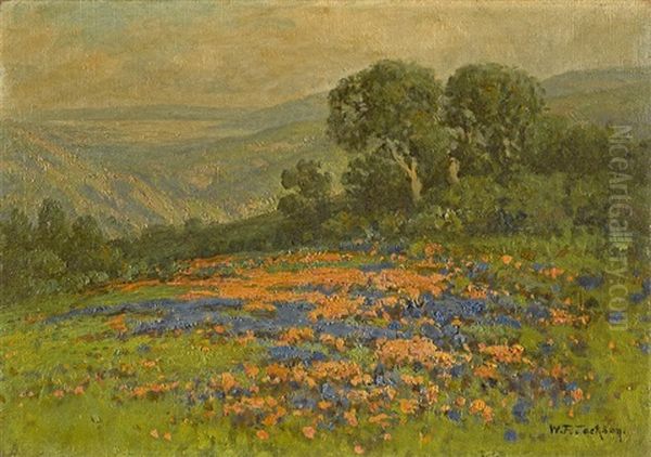 Wildflowers On Rolling Hills - view 1