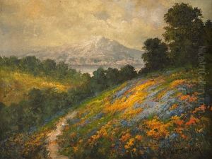 Mount Tamalpais, Marin County, Ca by William Franklin Jackson
