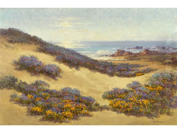 Wildflowers Along The Coast - view 1