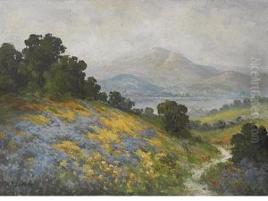 Wildflowers With Mount Tamalpais Beyond