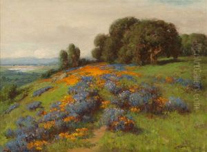 California Poppies And Lupine, Foothills Of Sierras, With Glimpse Of Sacramento Valley by William Franklin Jackson