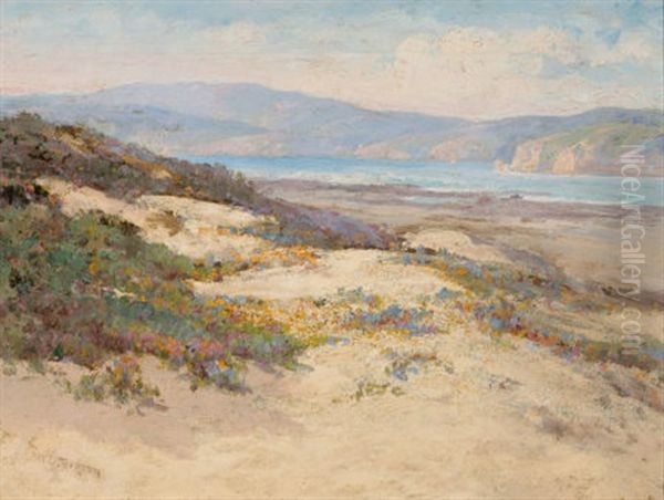 Tamales Bay - view 1