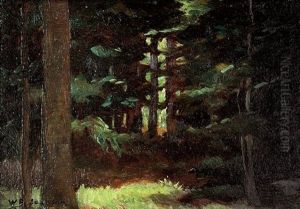 Redwood Grove by William Franklin Jackson
