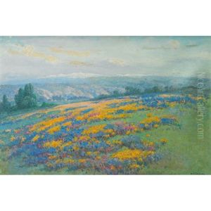 California Field Poppies by William Franklin Jackson