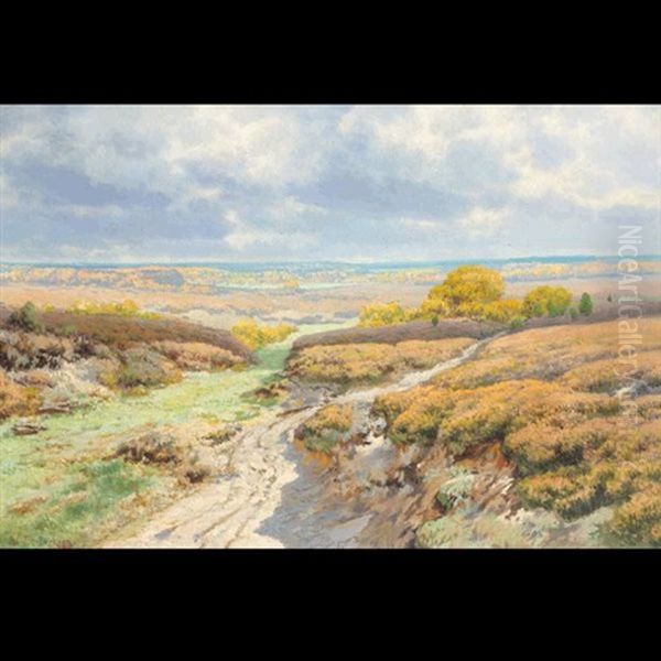 Country Path - view 1