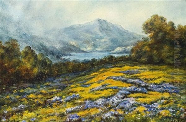 Haydock, Mt. Tamalpais With Poppies And Lupine - view 1