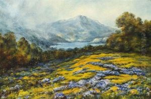 Haydock, Mt. Tamalpais With Poppies And Lupine