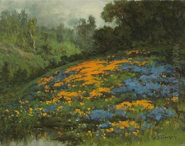 California Hillside With Poppies And Lupine - view 1