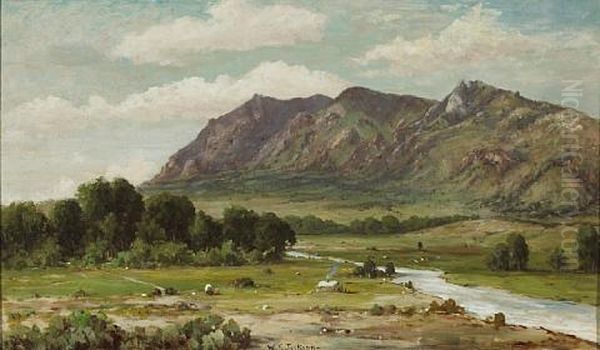 California Landscape (sutter Buttes?) - view 1