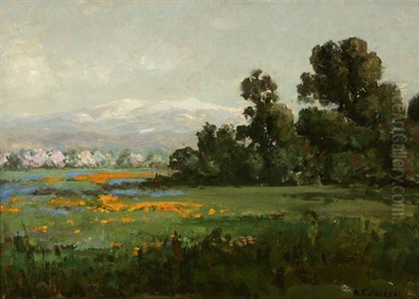 California Landscape With Poppies - view 1