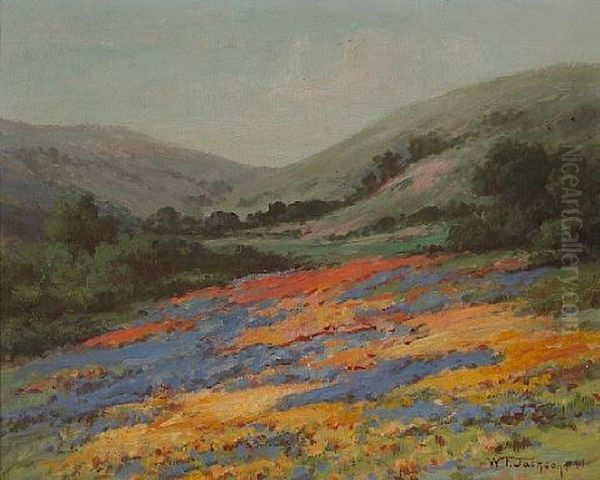 Wildflowers On A Hillside - view 1