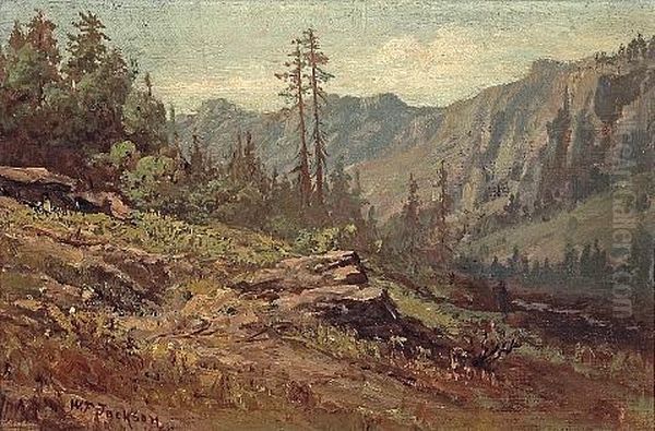 On The Road From Summit To Soda Springs - view 1