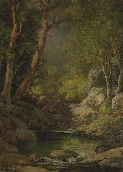 Mountain Stream - view 1
