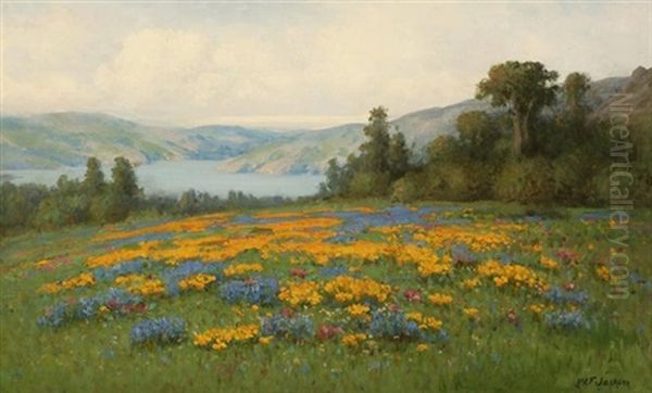 Poppies And Lupine Landscape - view 1