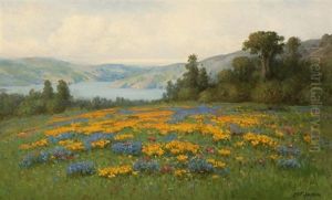 Poppies And Lupine Landscape