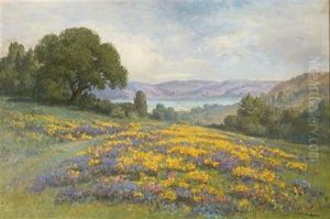 Poppy Field by William Franklin Jackson
