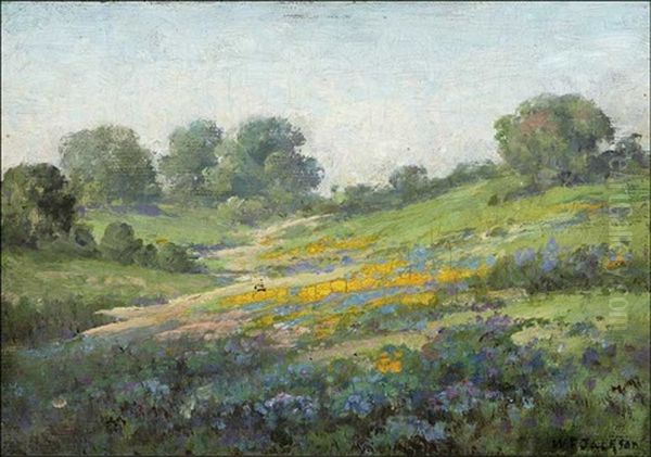 Early Spring - view 1