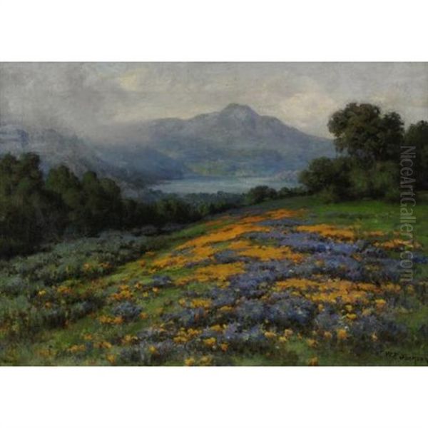 View Of Mt. Tamalpais - view 1