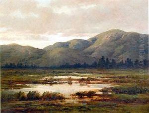 Mountain Landscape With Foreground Marsh