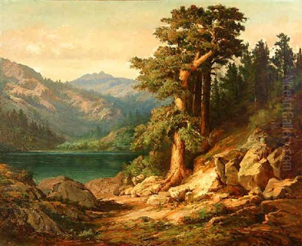 Lake In Wooded Landscape - view 1