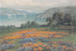 Wild Flowers By A River Wild Flowers By A River