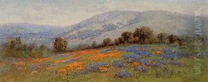 California Poppies by William Franklin Jackson