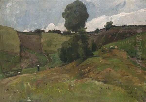 Falkenberg - view 1