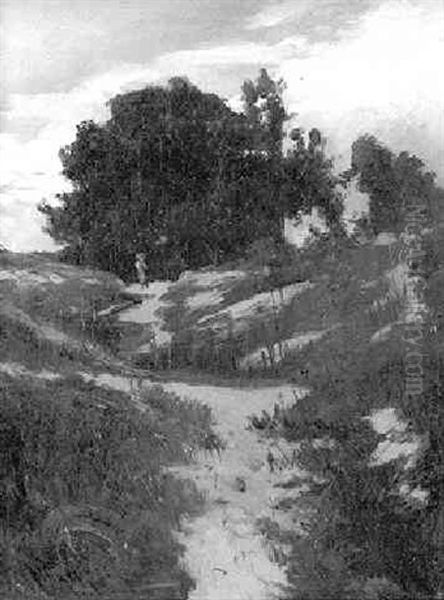 Hugelige Landschaft Durch Die Ein Sandweg Fuhrt - view 1