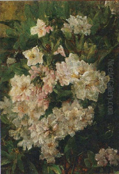 Flower Still Life - view 1