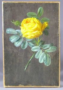 Rose by Moise Jacobber